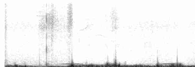 holoubek hnědoprsý - ML557659271