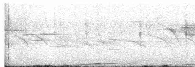holoubek hnědoprsý - ML557659641