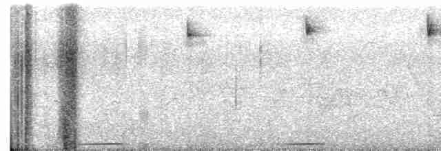 holoubek hnědoprsý - ML557660111