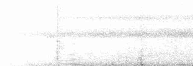 White-throated Toucan - ML557660951