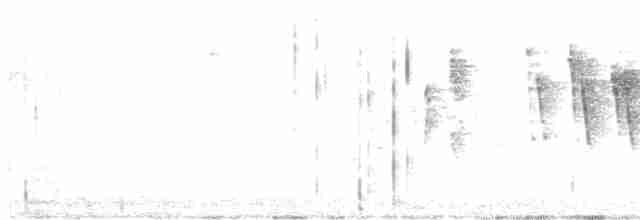 lesňáček čepičatý (ssp. chryseola) - ML557705191