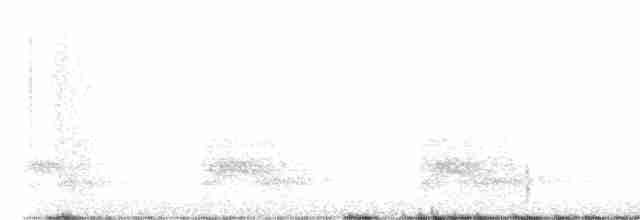 Дятел-смоктун сосновий - ML557788511