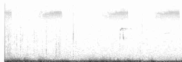 indianerspett (villosus gr.) - ML557817511
