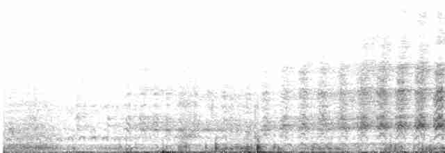 白喉針尾雨燕 - ML557925301