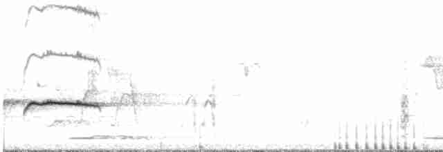 hvitbrynsvalestær - ML557931211