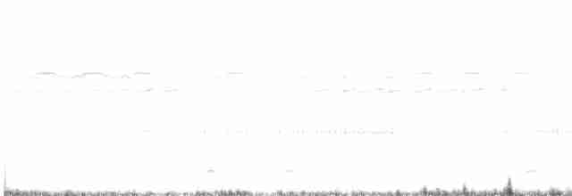 Nubiennachtschwalbe - ML557956291