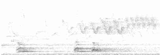 Cerulean Warbler - ML558082651