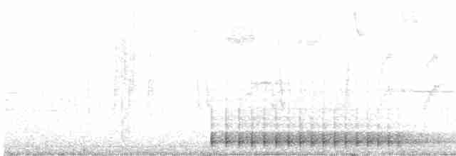 hvitbrynsvartspett - ML558126601