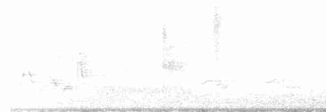 White-eyed Vireo - ML558127361