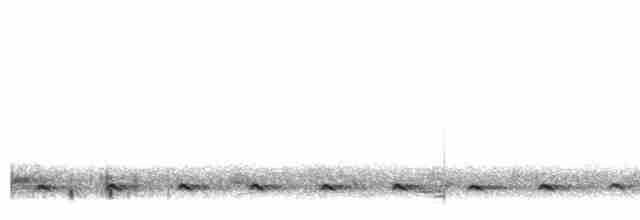 Chevêchette australe - ML558147521