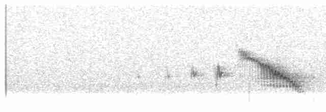 Long-tailed Meadowlark - ML558149241