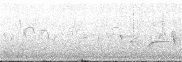 Малый черноголовый дубонос - ML55816871