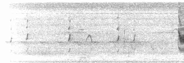 Long-tailed Shrike - ML558341211