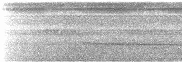 Alción de Esmirna - ML558359071