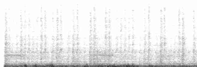 Clamorous Reed Warbler - ML558392401