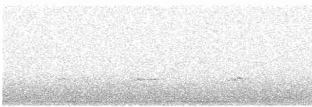 Sarcelle d'hiver (crecca) - ML558412871