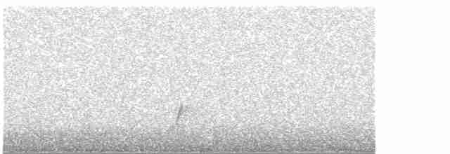 斑胸秧雞 - ML558443941