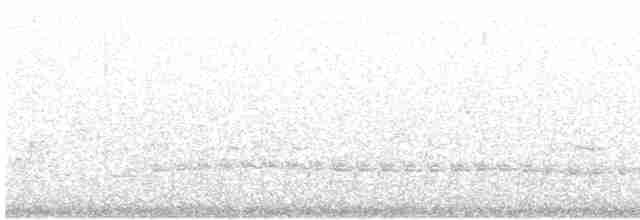 White-breasted Whistler - ML558455611