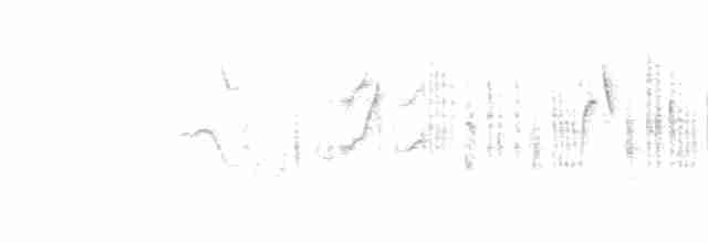 Fauvette mélanocéphale - ML558629211