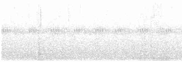 Гребенечуб гвіанський - ML558648021