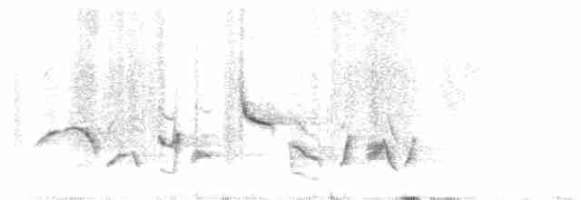 Кропив’янка аравійська - ML558922281