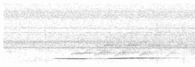Борнейский павлиний фазан - ML558961961