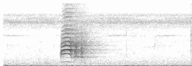 Борнейский павлиний фазан - ML558962121
