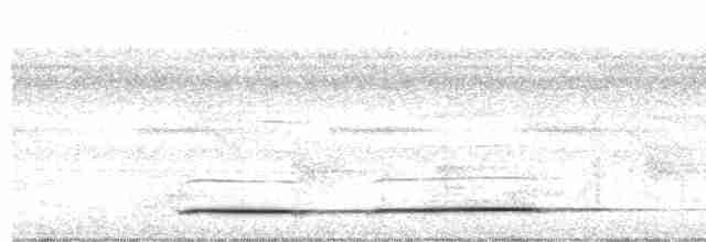 Борнейский павлиний фазан - ML558962491