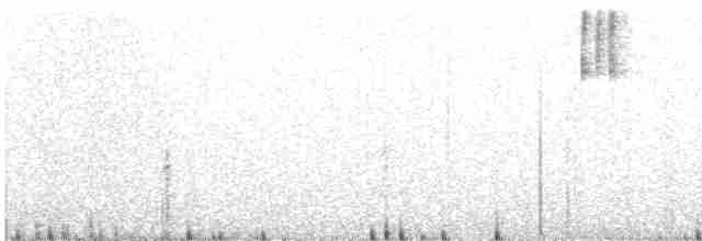 Kara Gözlü Junko (hyemalis/carolinensis) - ML558981741