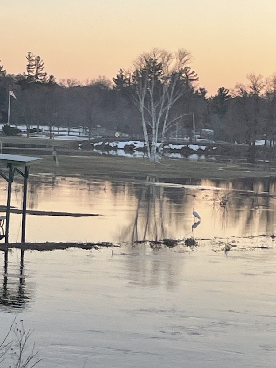 eBird Checklist 11 Apr 2023 Memory Lake Park, Grantsburg USWI (45.