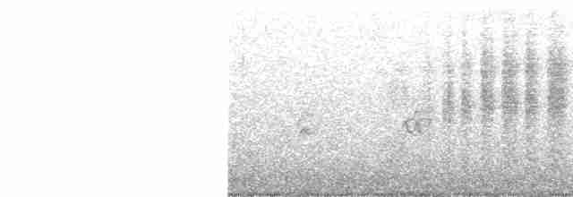 Vireo Ojiblanco - ML559268321