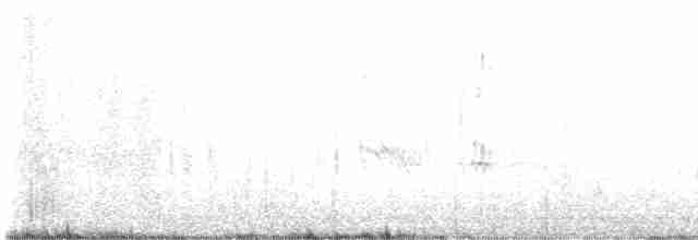 Evening Grosbeak (type 1) - ML559298681