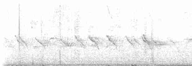Evening Grosbeak (type 2) - ML559299551