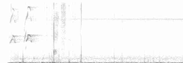 Swallow-tailed Kite - ML559300071