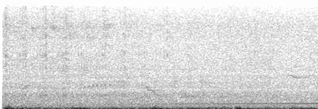 Wedge-tailed Shearwater - ML559337881