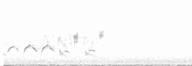 Eastern Orphean Warbler - ML559366401