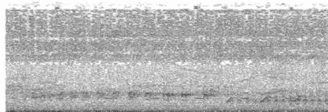 Бурый павлиний фазан - ML559378291