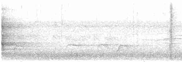 Черногорлый скрытоклюв - ML559385121