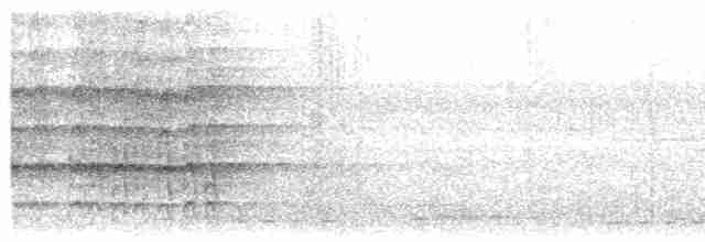 Черногорлый скрытоклюв - ML559385211
