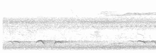Ястребиная/Тёмная кукушка - ML559385301