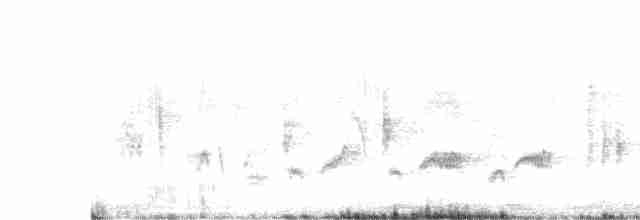Western Orphean Warbler - ML559389561