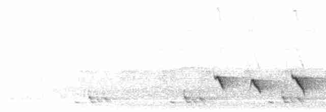 White-browed Shrike-Babbler (Blyth's) - ML559409681