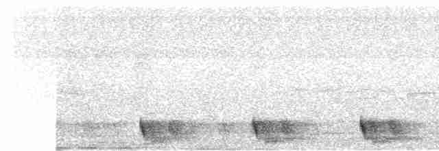Large-tailed Nightjar - ML559458241