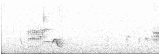 Black-headed Shrike-Babbler - ML559503091