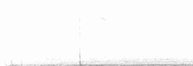 White-eyed Vireo - ML559543341