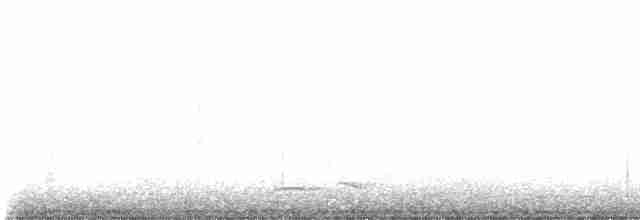 Winternachtschwalbe - ML559714381