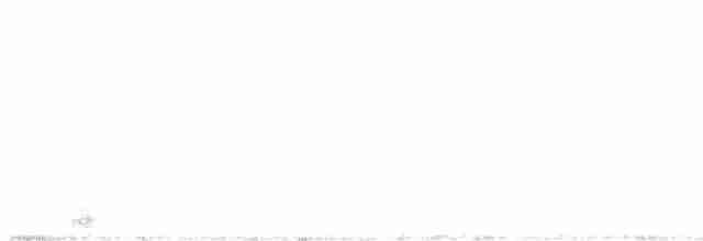 Common Merganser (North American) - ML559866871