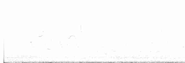 Кактусовый пересмешник - ML559884181