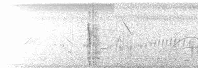 Troglodyte géant - ML559892421