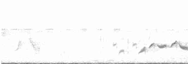 Western Orphean Warbler - ML559982591